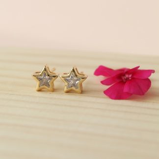 Topos estrella