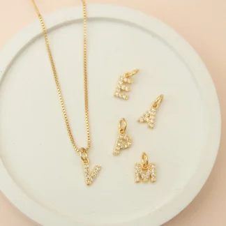 Cadena inicial con microcircones