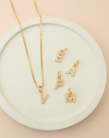 Cadena inicial con microcircones
